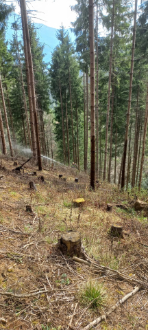 KHD Waldbrand Übung Breitenau 11.04.2026